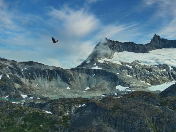 Aquila Calva Che Sorvola Alte Montagne Nel Sud Est Dell — Foto Stock