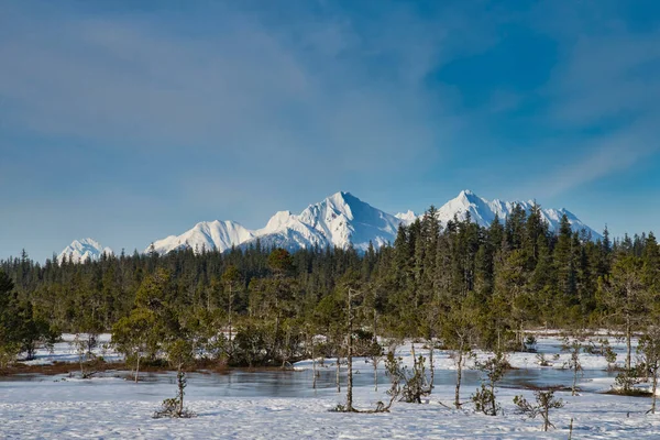 Escena Invierno Salvaje Sudeste Alaska Con Montañas Humedal — Foto de Stock