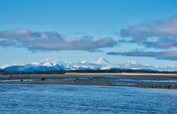 Güneydoğu Alaska Somon Nehri Kıyısındaki Sahil Güneşli Bir Kış Gününde — Stok fotoğraf