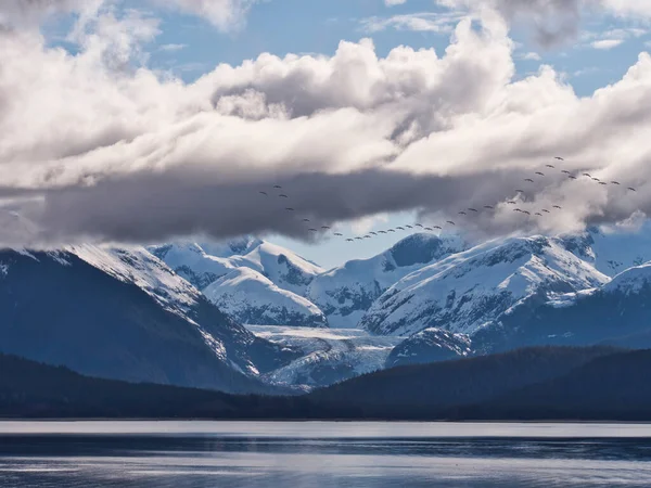 Stormo Gru Sabbia Formazione Che Volano Oltre Montagne Ghiacciaio Nel — Foto Stock