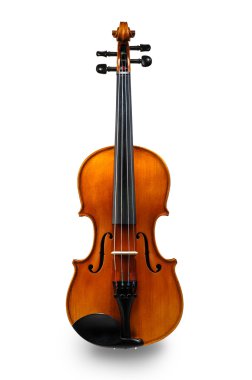 Keman beyaz üzerine izole