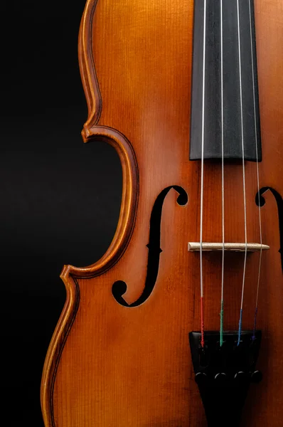 Violin front view cropped — Stock Photo, Image