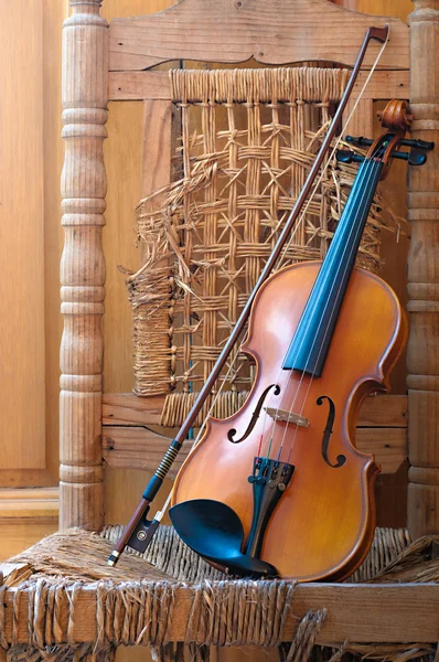 Violin front view cropped — Stock Photo, Image