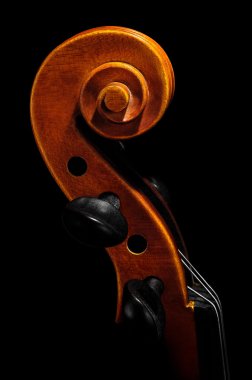 Violin pegbox and scroll detail clipart