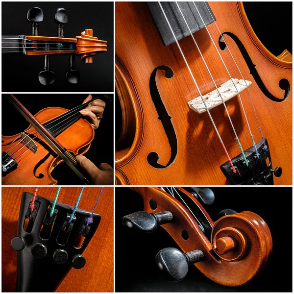 Collage violino — Foto Stock