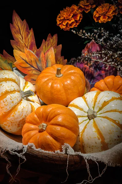 Citrouilles nature morte — Photo