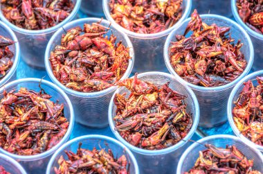 Chapulines, yenilebilir çekirge