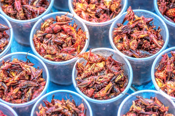 Chapulines, ätbara gräshoppor — Stockfoto