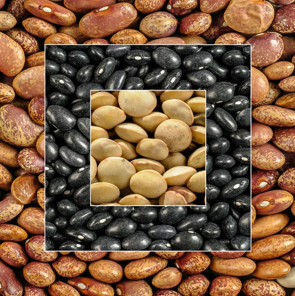 Legumes — Stock Photo, Image