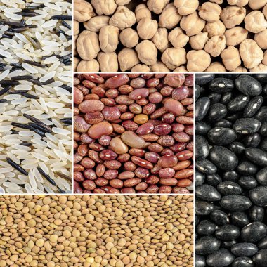 fasulye, mercimek, pirinç, nohut
