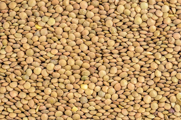 Lentils — Stock Photo, Image