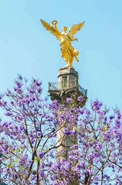 El Angel.