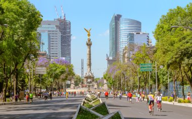 Pazar bisikletçileri paseo de la Reforma, Meksika