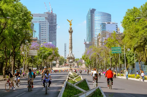 在墨西哥 paseo de la reforma 周日骑自行车的人 — 图库照片