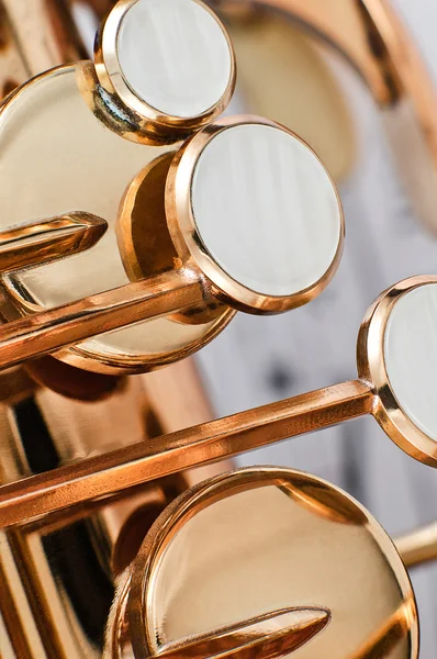 Saxofone chaves close-up — Fotografia de Stock