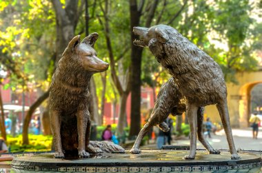 Jardin Centenario 'daki çakallar çeşmesi, Coyoacan, Mexico City