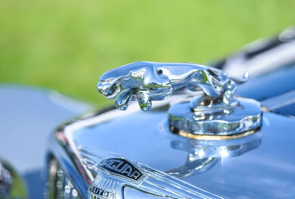 Huixquilucan Estado México México Abril 2019 Chrome Hood Ornament Closeup — Fotografia de Stock