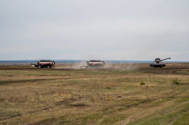 Sonbahar hasadı hasatçıların birleşimidir. Toprağı ekime hazırlıyorum.