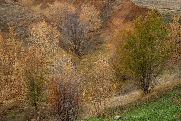 Přírodní Rokle Podzimní Krajina Rokli — Stock fotografie