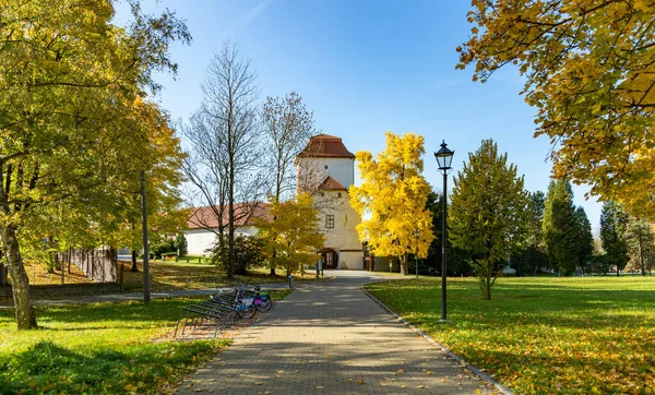 Sonbaharda Silezya Ostrava Kalesi 'nin bir resmi..