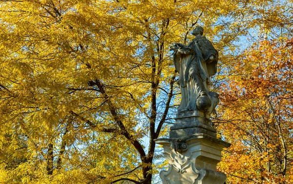 Una Imagen Estatua Del Parque Municipal Stanislaw Staszic Contra Follaje —  Fotos de Stock