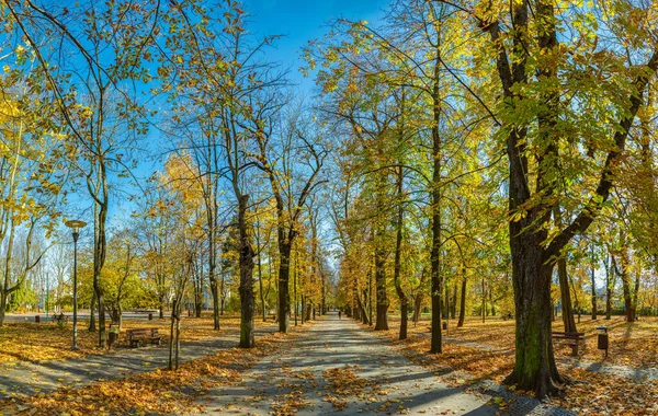 Picture Fall Foliage Stanislaw Staszic Municipal Park Kielce — Stock Photo, Image