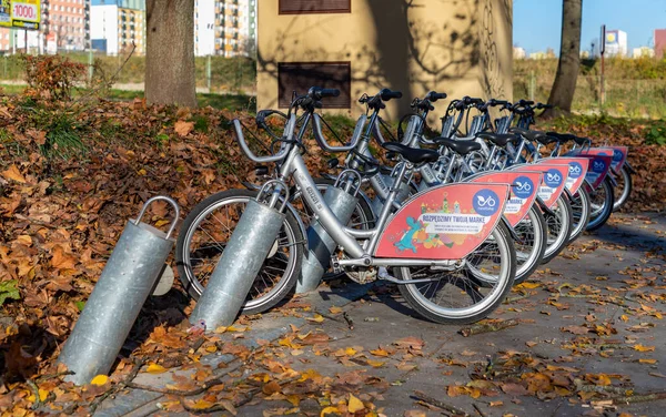 Picture Row City Bikes Lublin — Stock Photo, Image
