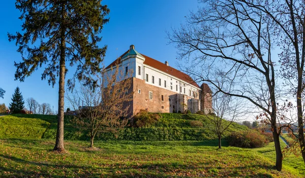 Uma Foto Catedral Sandomierz Outono — Fotografia de Stock