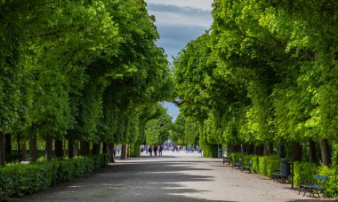 Schonbrunn Bahçelerinin bir resmi..