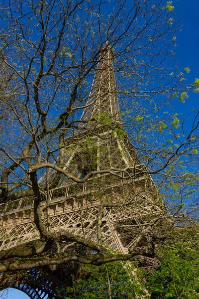 Una Foto Torre Eiffel Vista Través Árbol Cercano París —  Fotos de Stock