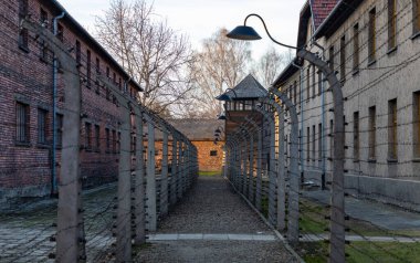 Auschwitz Anıtı ve Müzesi 'ndeki bir çitin resmi..