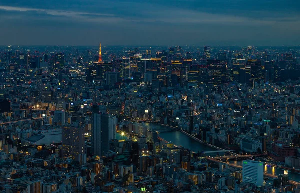 Een Schilderstuk Van Stad Van Tokio Tokio Toren Avond — Stockfoto