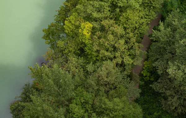 Картина Верхушек Деревьев Рядом Рекой Сока Вид Сверху Словения — стоковое фото