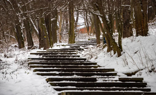 Picture Some Snowy Stairs Winter — Stock Photo, Image