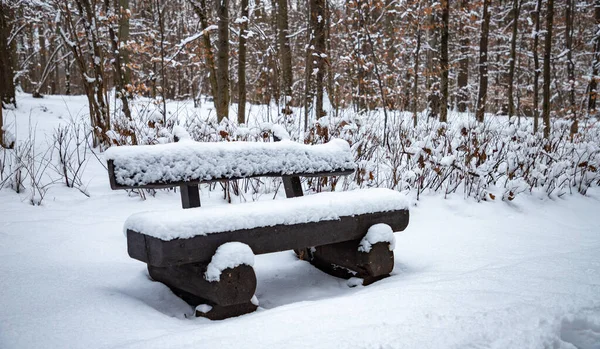 Picture Bench Snow Woods — Stock Photo, Image
