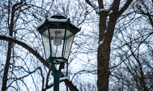 Ein Bild Einer Straßenlaterne Einem Park Winter — Stockfoto