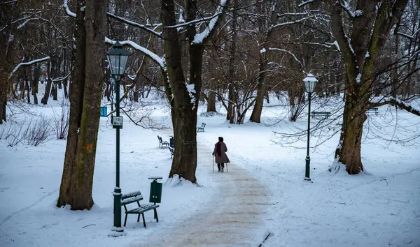Picture Woman Walking Park Winter — Stock Photo, Image