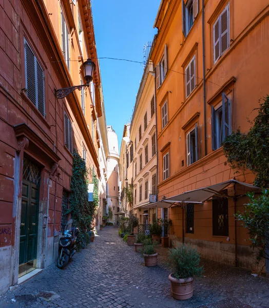 Roma Renkli Bitkilerle Dolu Bir Sokak Resmi — Stok fotoğraf