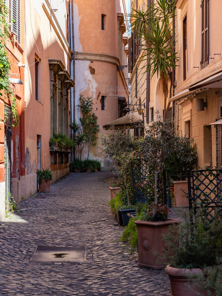 A picture of a picturesque, colorful and plant-laden alley in Rome.