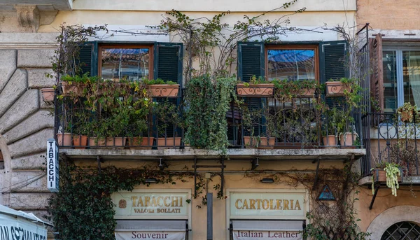 Ein Bild Von Malerischen Pflanzenbeladenen Balkonen Rom — Stockfoto