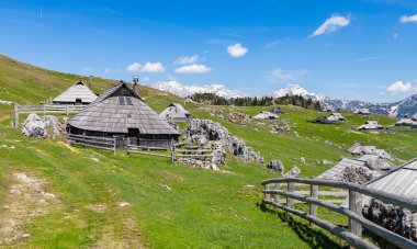 Velika Planina 'nın çoban kulübelerinden birinin ya da Büyük Çayırlık Platosu' nun yakın plan fotoğrafı..