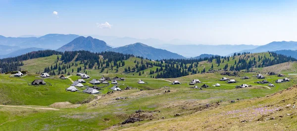Obraz Krajobrazu Velika Planina Czyli Wielki Płaskowyż Pastwiskowy Jego Chaty — Zdjęcie stockowe