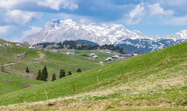 Bild Landskapet Velika Planina Eller Big Pasture Plateau Och Dess — Stockfoto