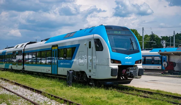 Bild Ett Tåg Från Slovenska Järnvägar Stationerade Celje — Stockfoto