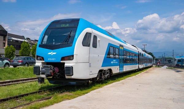 Bild Ett Tåg Från Slovenska Järnvägar Stationerade Celje — Stockfoto