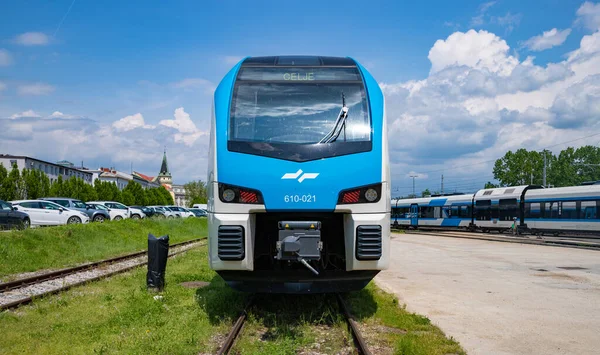 Bild Ett Tåg Från Slovenska Järnvägar Stationerade Celje — Stockfoto