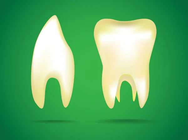 Ilustrasi dari gigi manusia. — Stok Foto