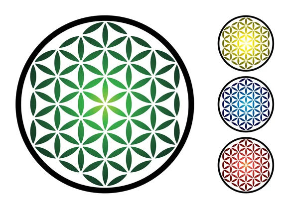 Set of flower of life symbol — Stock Photo, Image