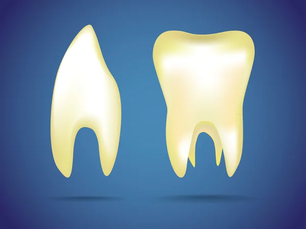 Ανθρώπινα δόντια — Φωτογραφία Αρχείου