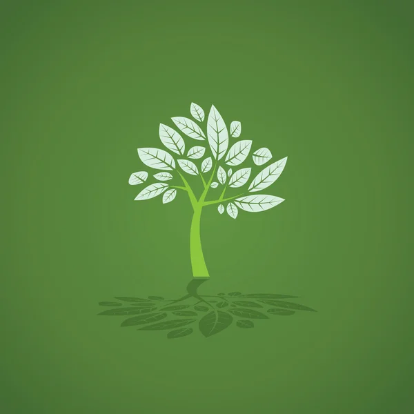 Green tree — Stock Photo, Image